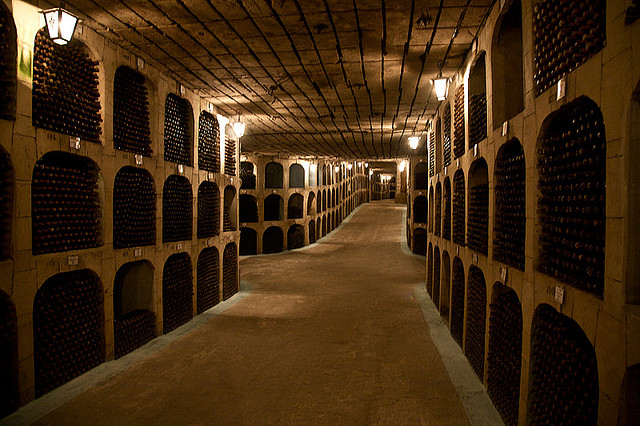 Milestii_Mici_wine_collection